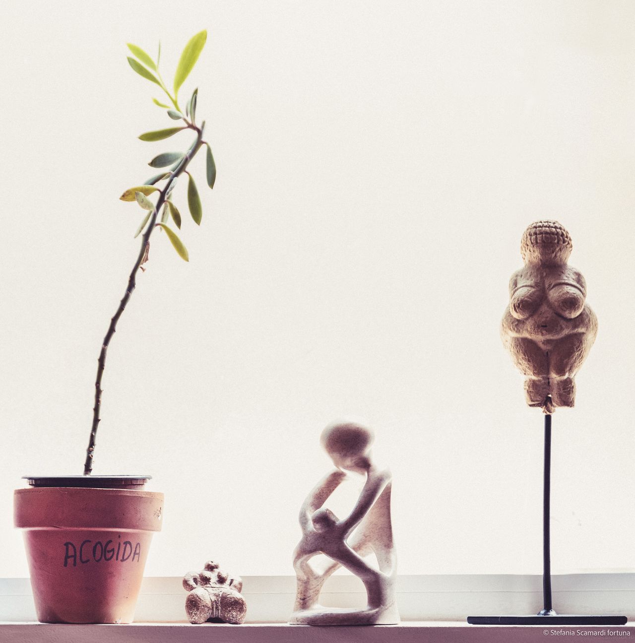 Nerea Sanchis Rodriguez-8