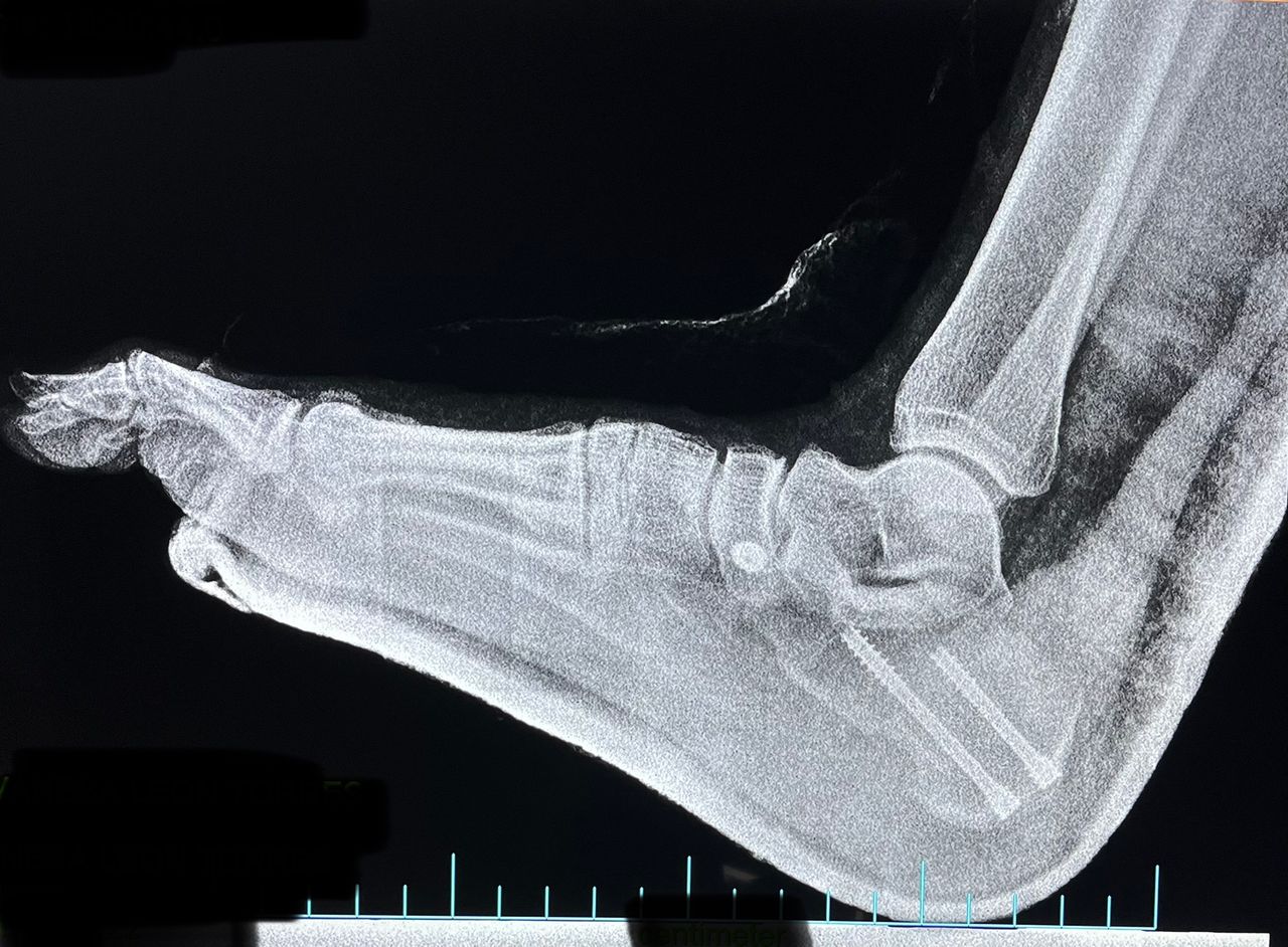 Francesc Soriano Morales-61