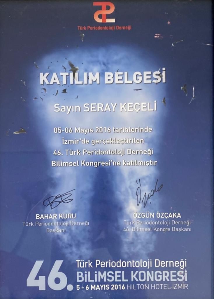 Seray Keçeli Onat-7