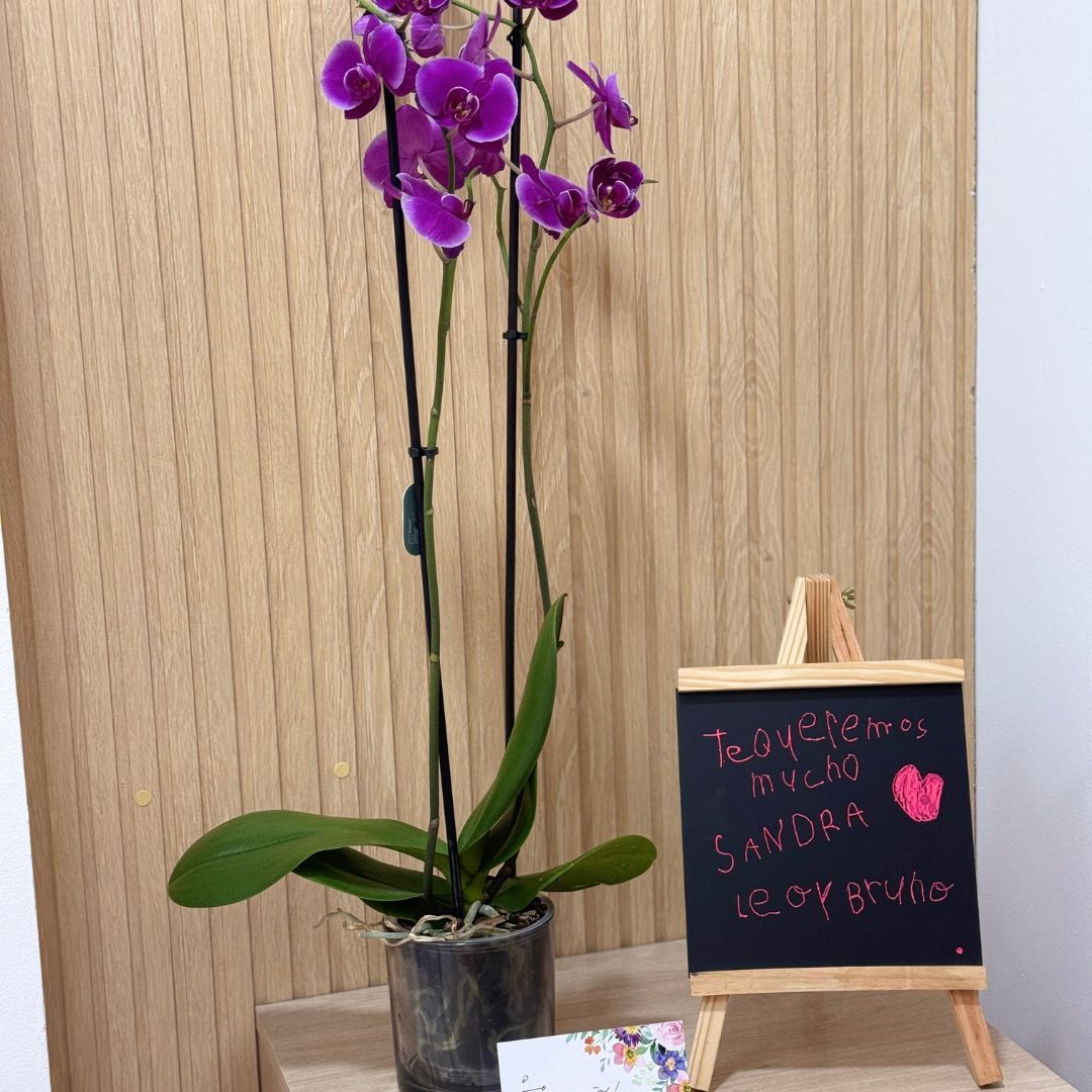 Sandra Serrano Perdomo-1