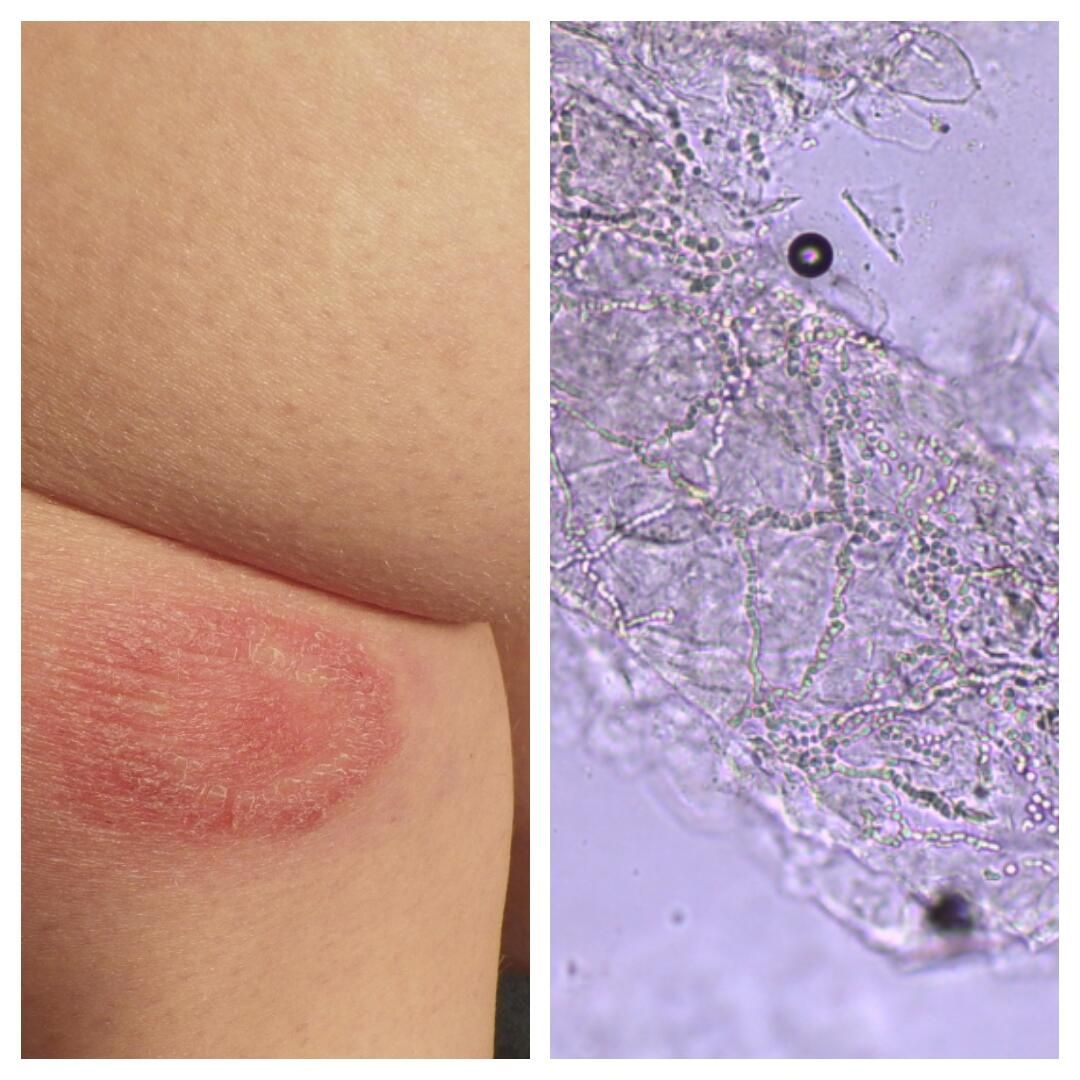 Stefano Maria Serini-8