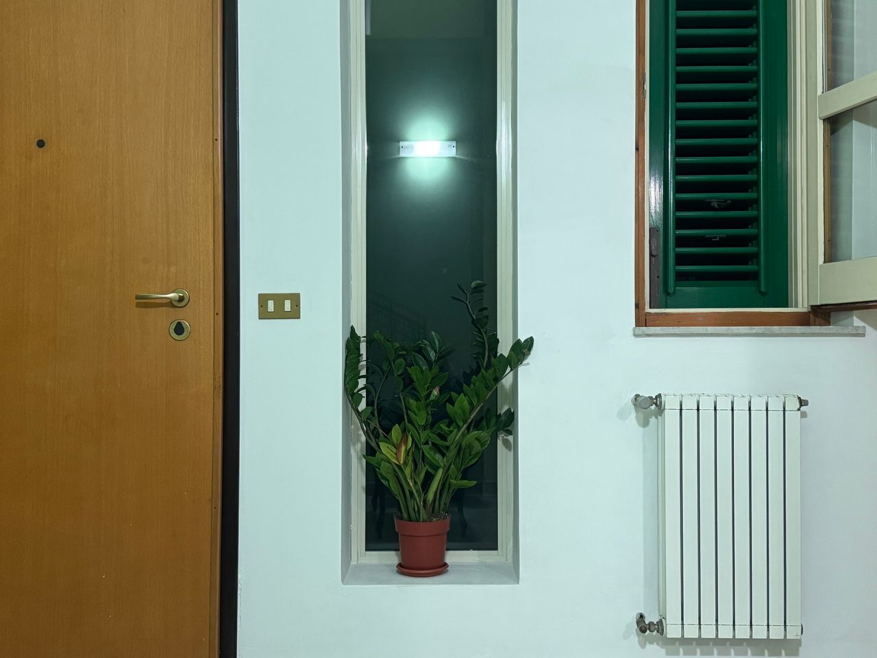 Francescarita Sainato-2