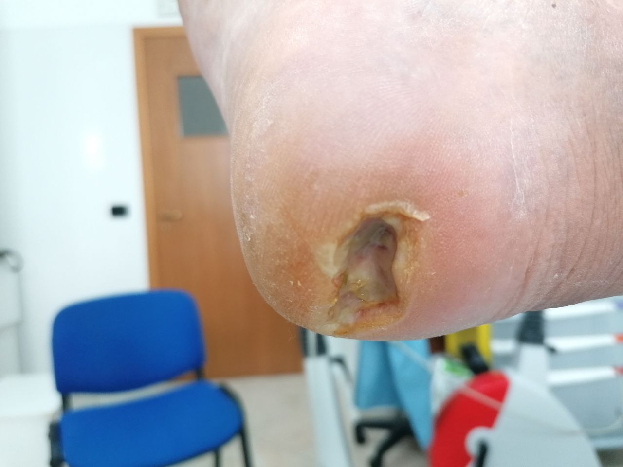 Kassandra Nicolosi-58