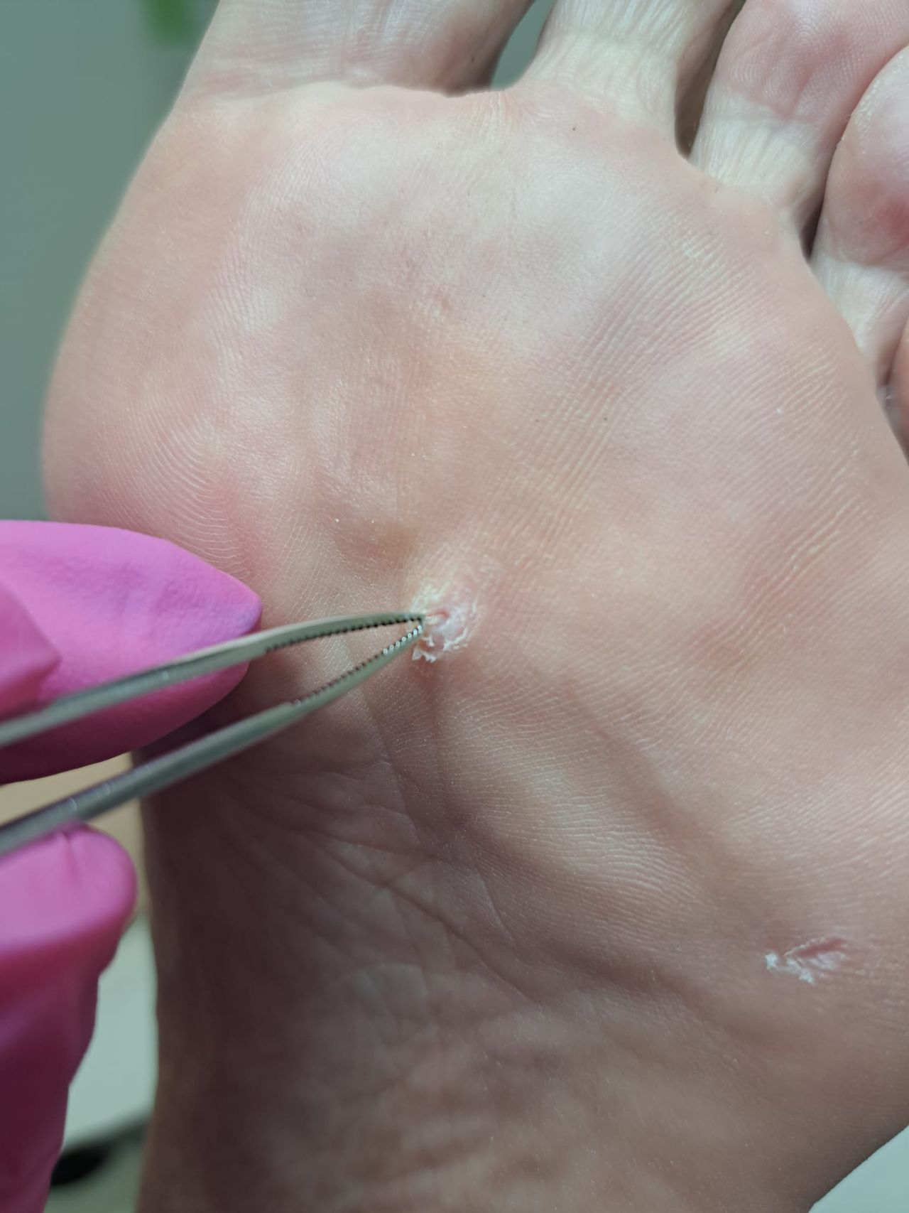 Monika Anhalt-Szawłowska-10