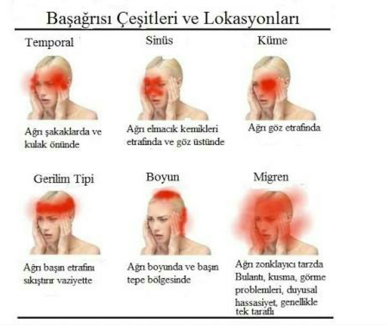 Hatice Köse Özlece-13