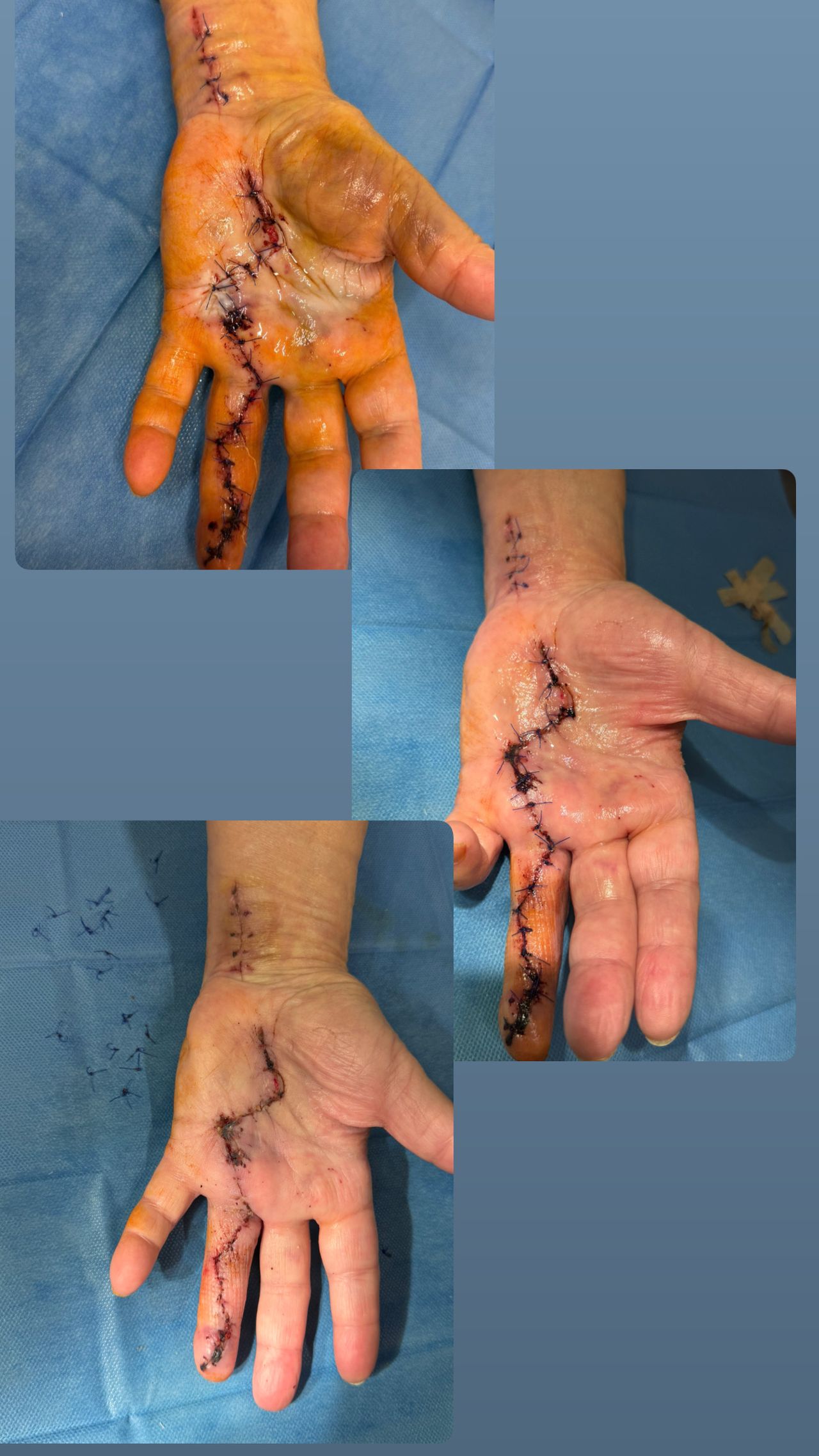 Weronika Joanna Kalamarska-12