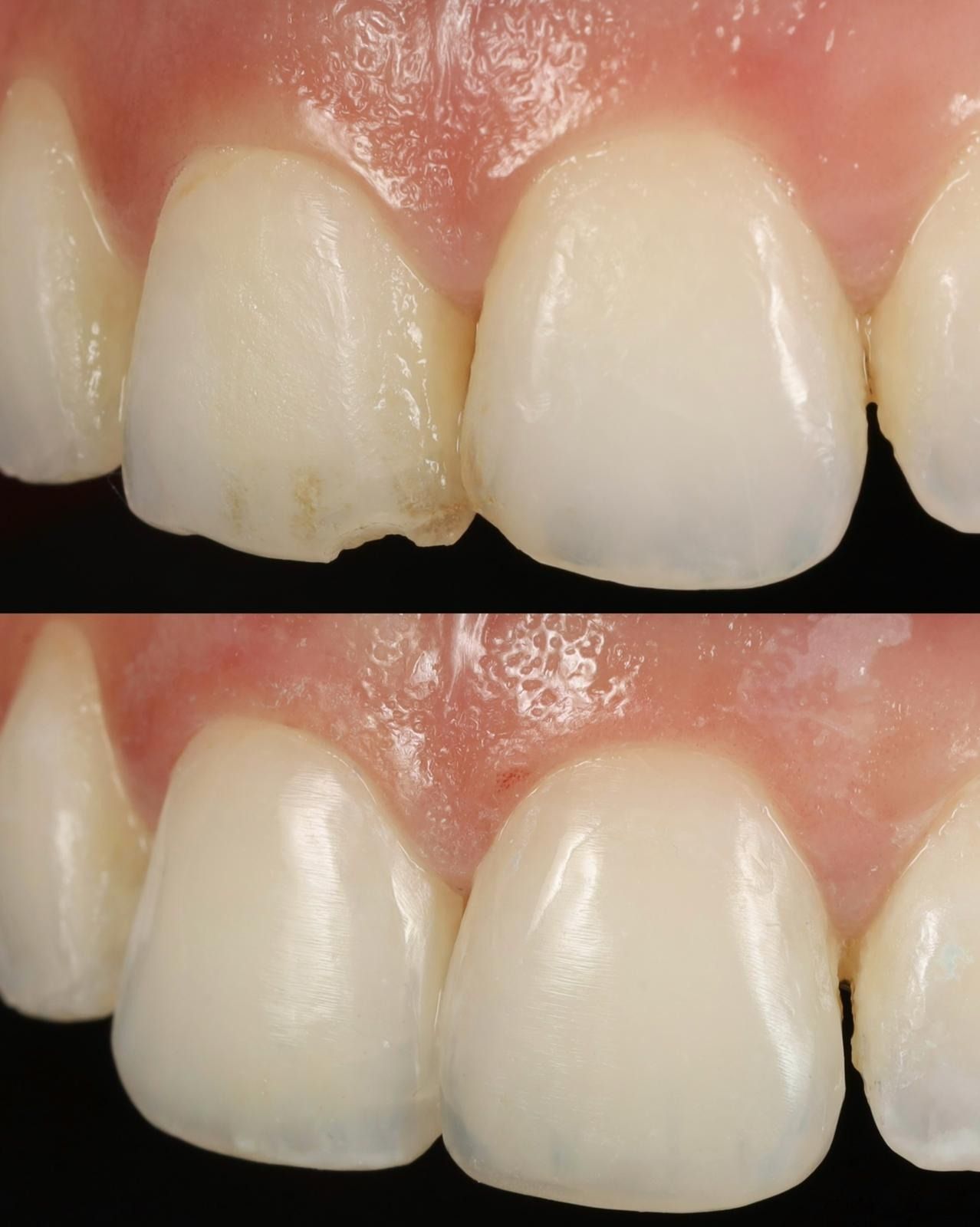 Javier Gallego Moreno-1