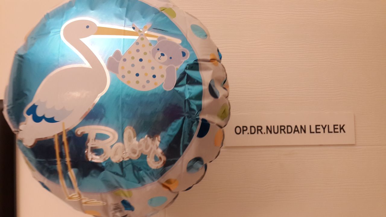 Nurdan Okuyucuoğlu Leylek-0