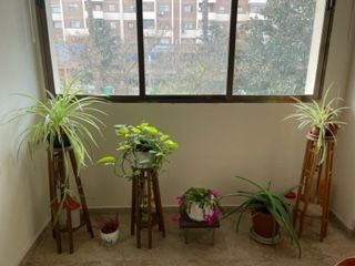 Maria José Campos Aranda-3