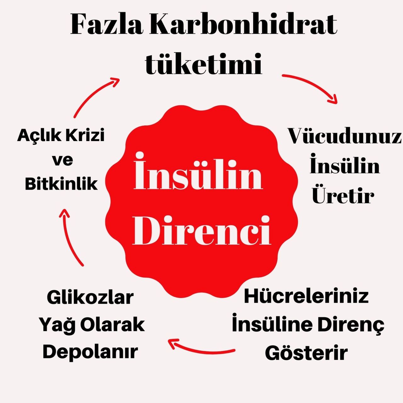 Sernaz Çakır Ercil-1