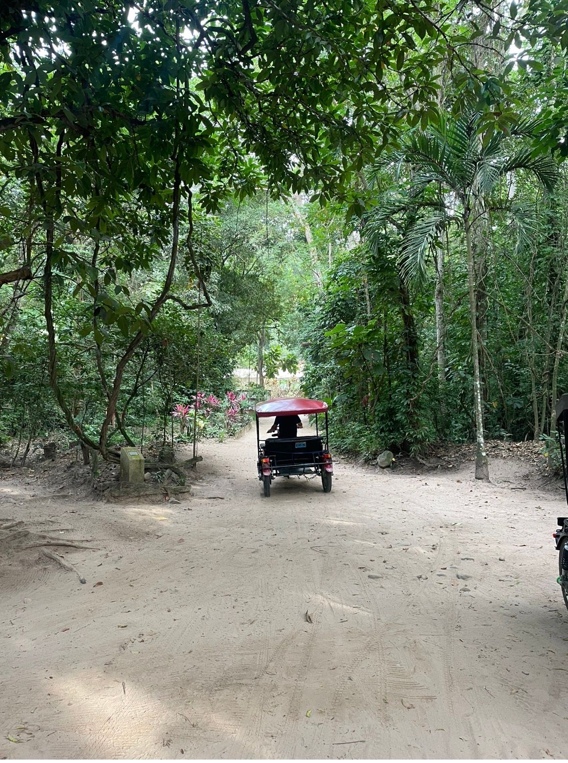 Stefania Tagliabue-6