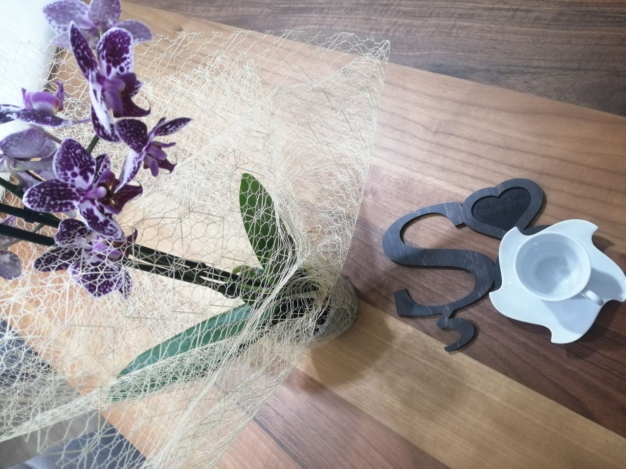 Şule Lütfiye Kıvrak-16