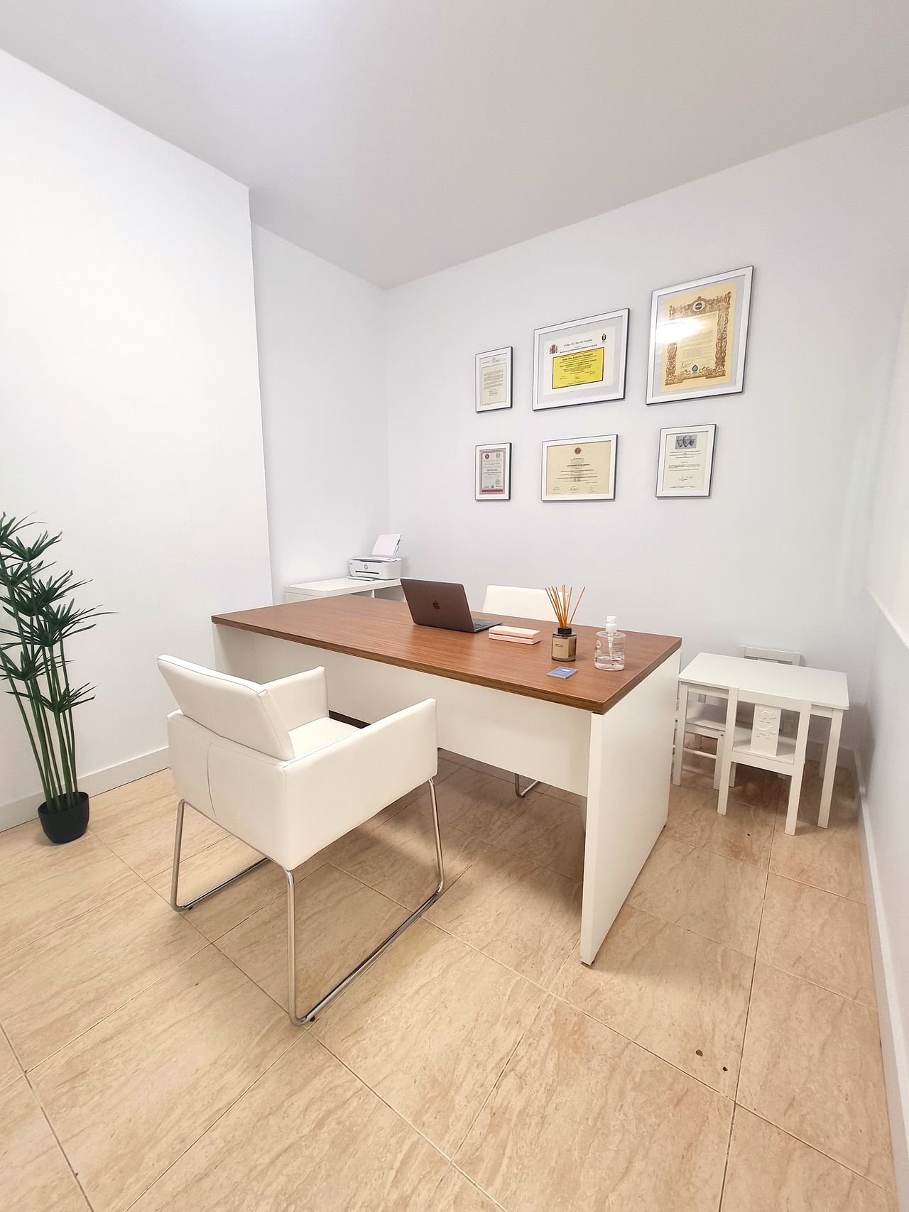 Gina Ciancaglini Zimmermann-2