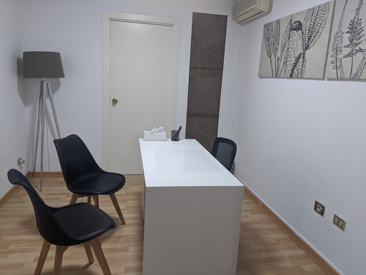 Anna Plana Mundó-13