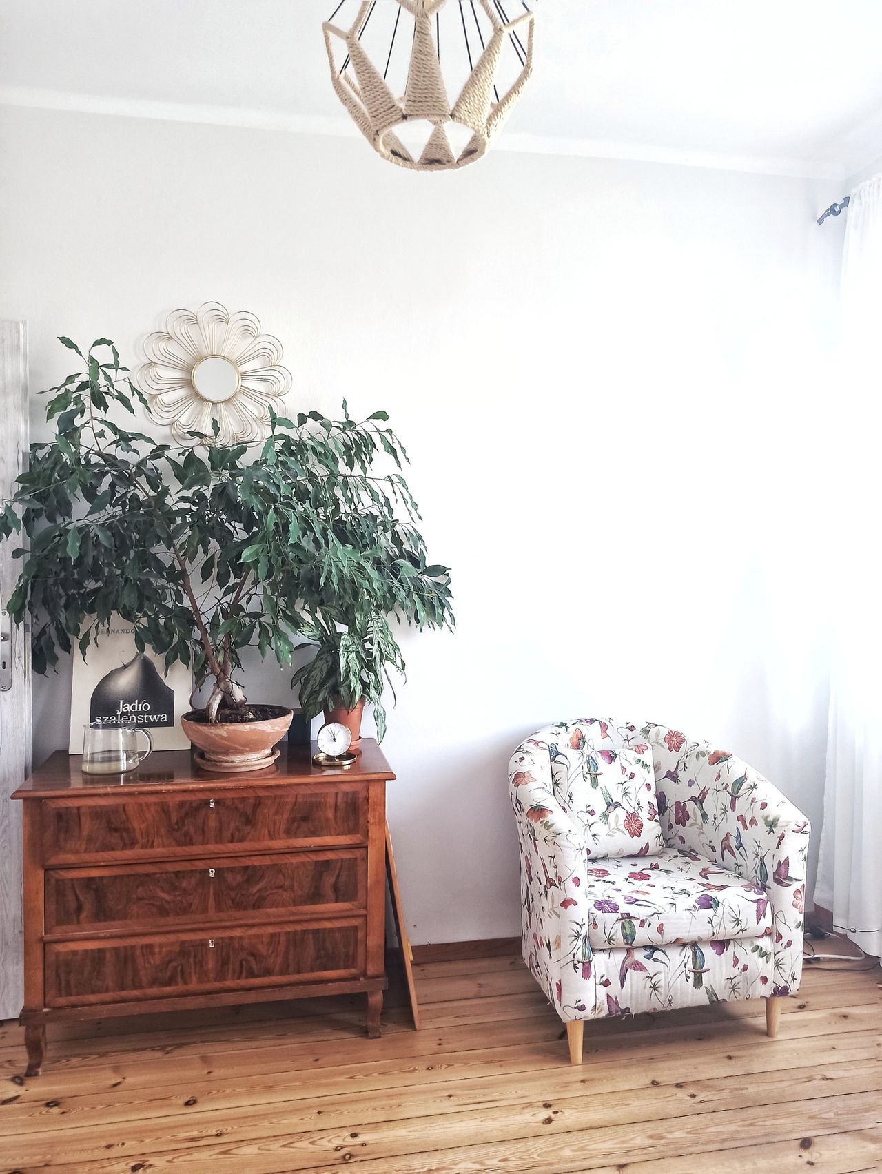 Aleksandra Włodkowska-1