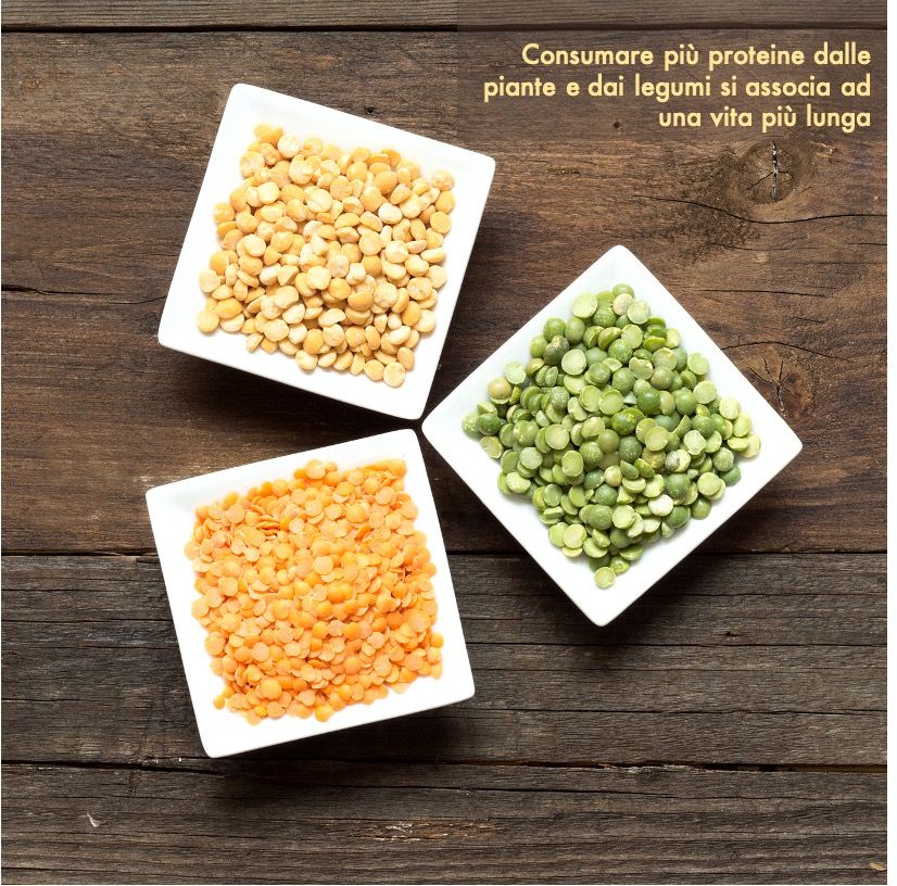 Ruggiero Francavilla-9