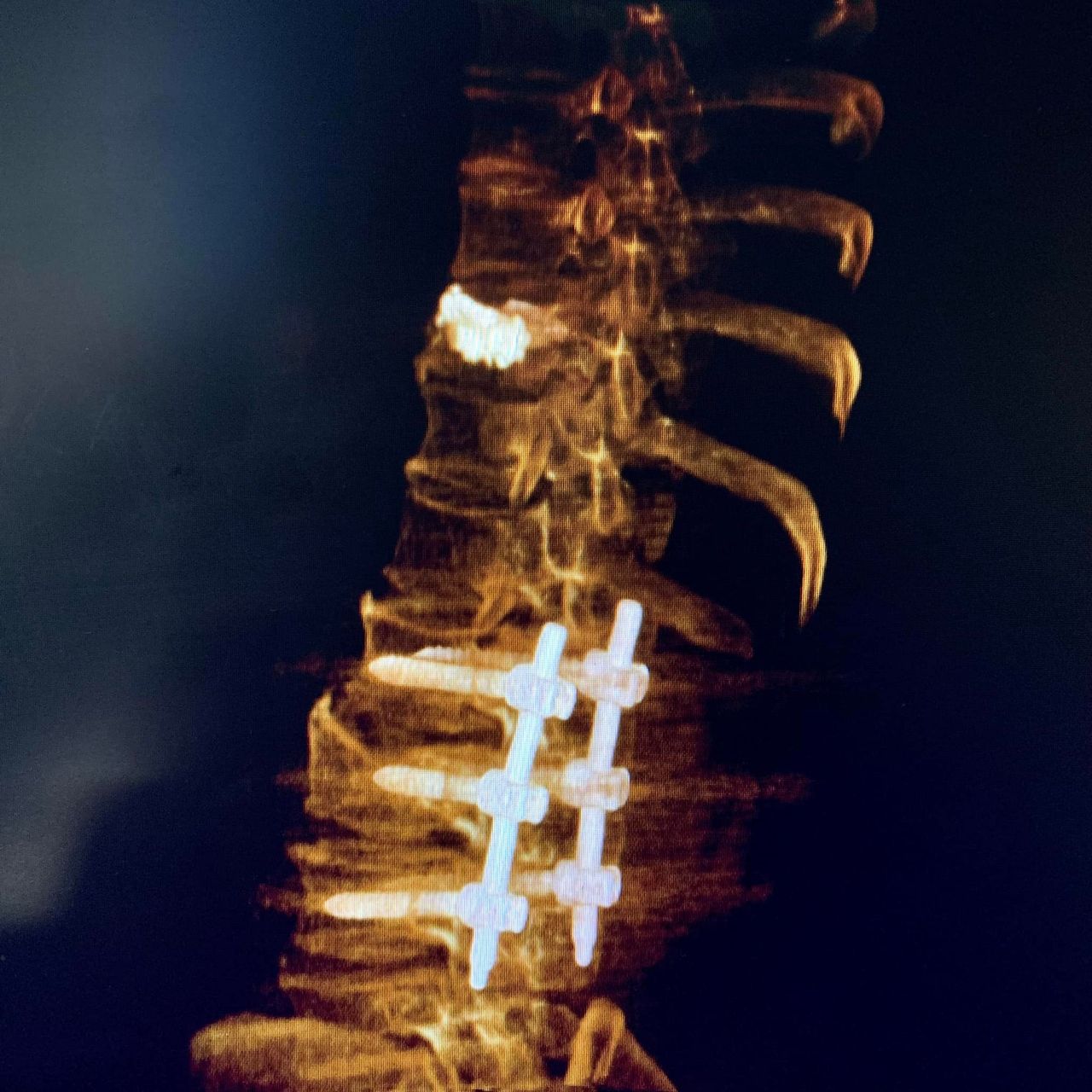 Daniele Millimaggi-3