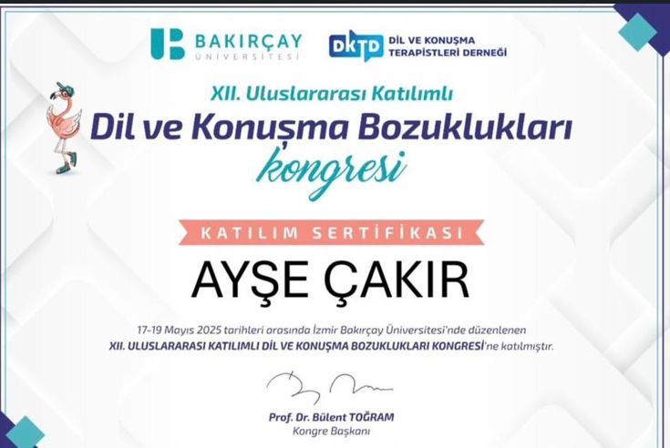 Ayşe Çakır-15