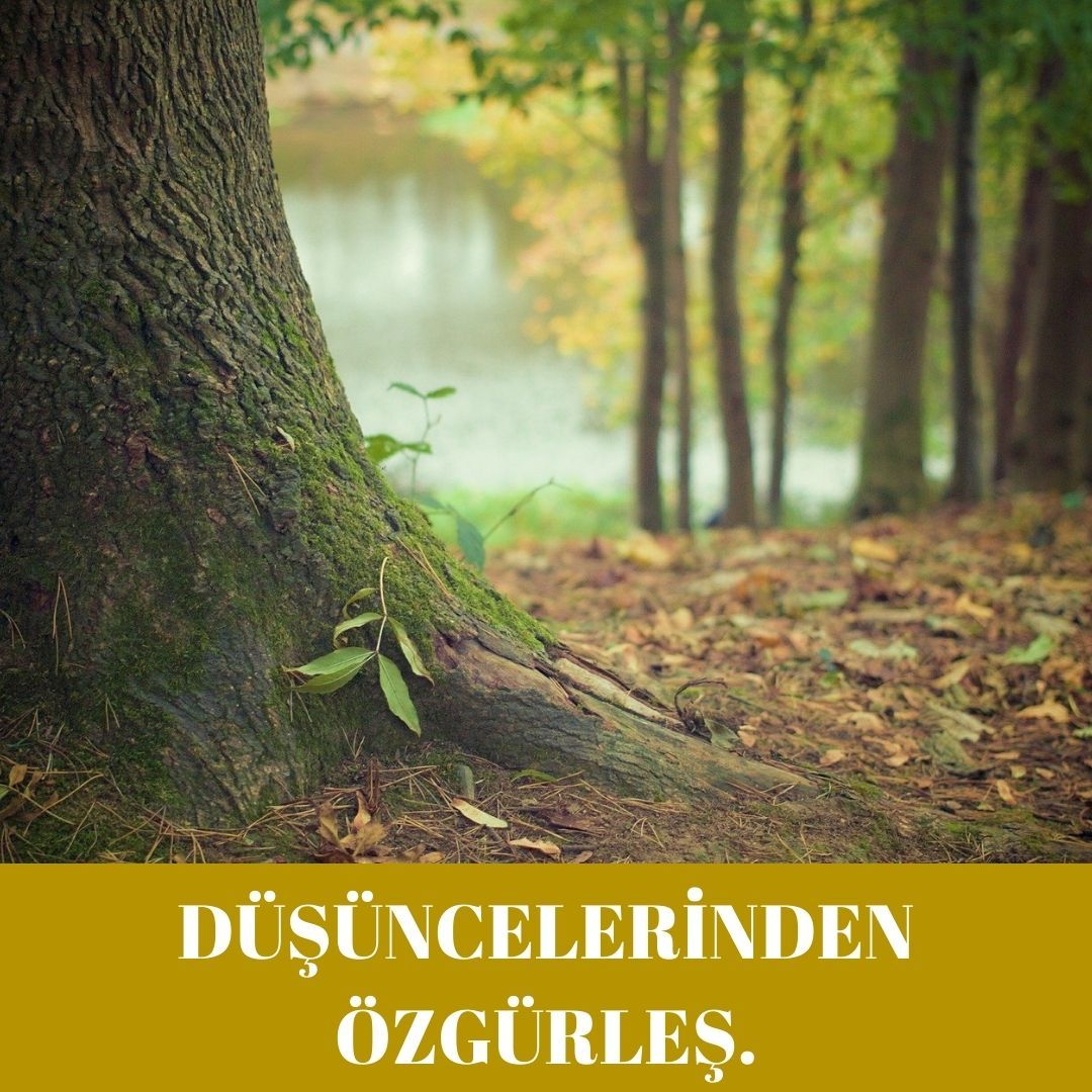 Dolunay Zümrüt Çetin-4