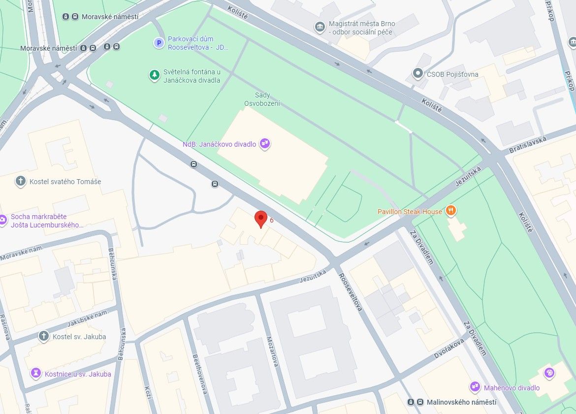 Jana Kotoučková, Dis.-2