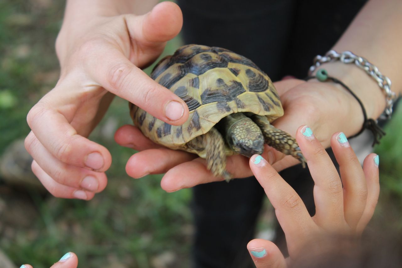 Sonia Sara Civallero-5
