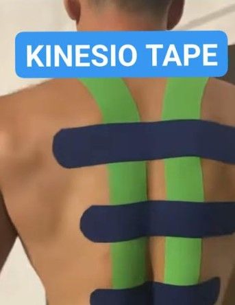 Svitlana  Borodachenko -9