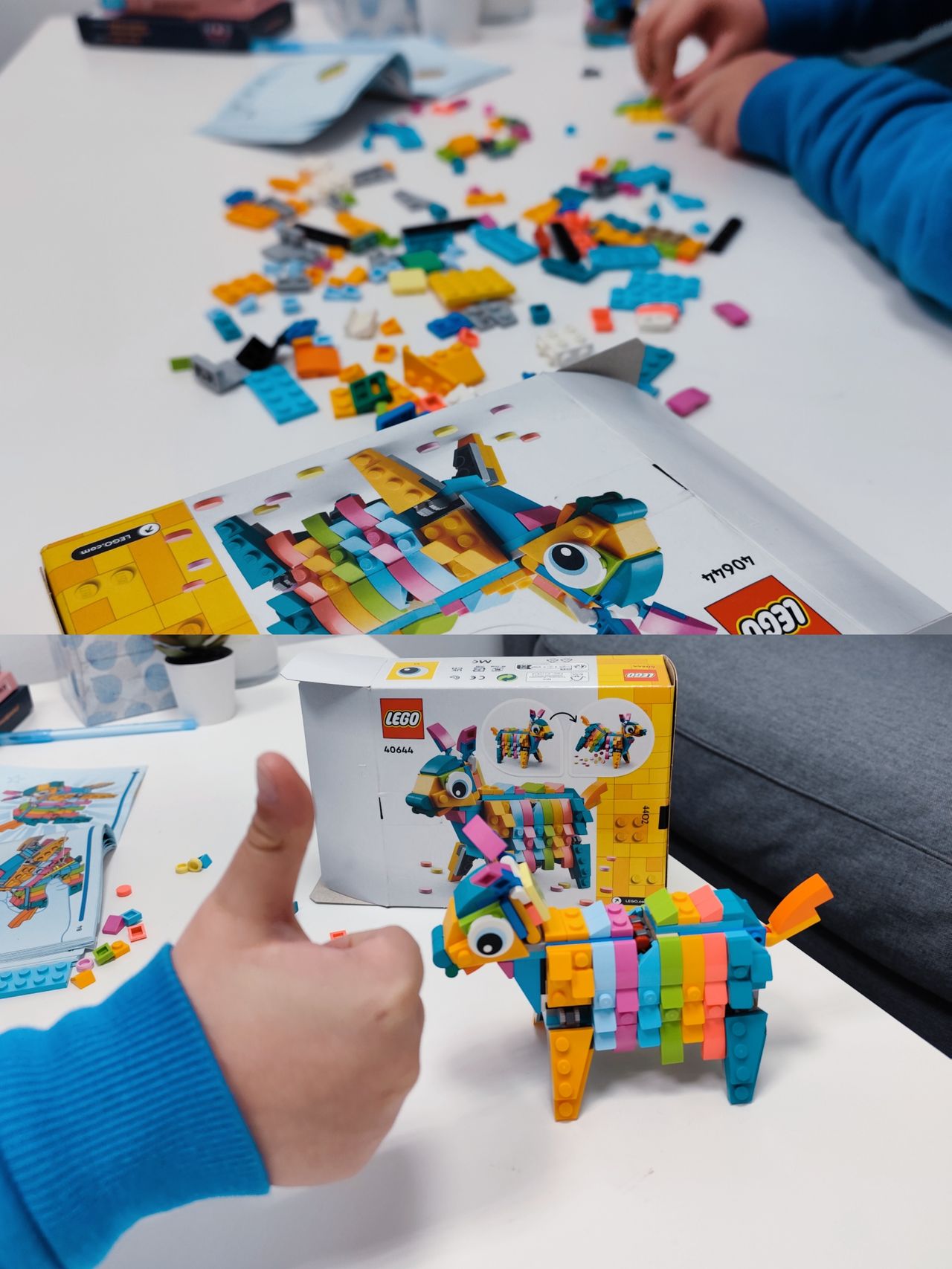 Daria Maciejewska-21