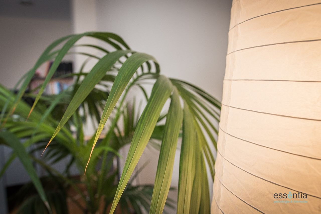 María Robles Díaz-11