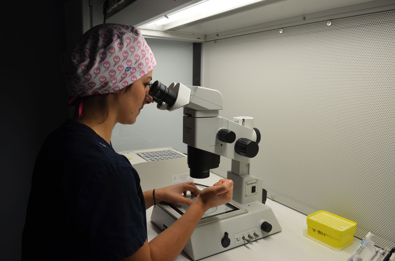 Giovanni Bracchitta-13