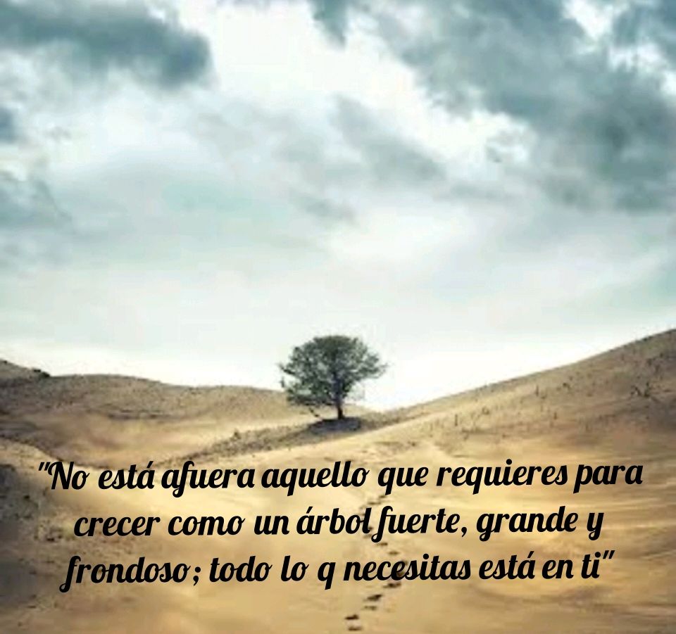 Angel Guillot Moreno-0