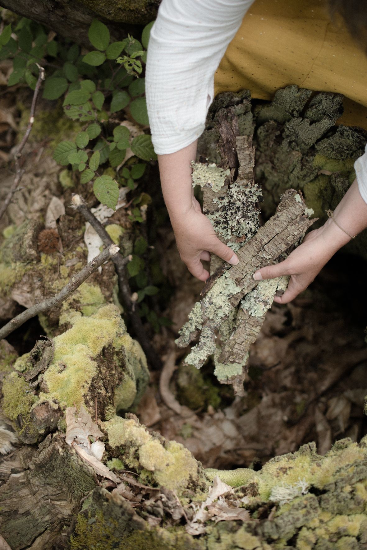 Francesca Campagna-14