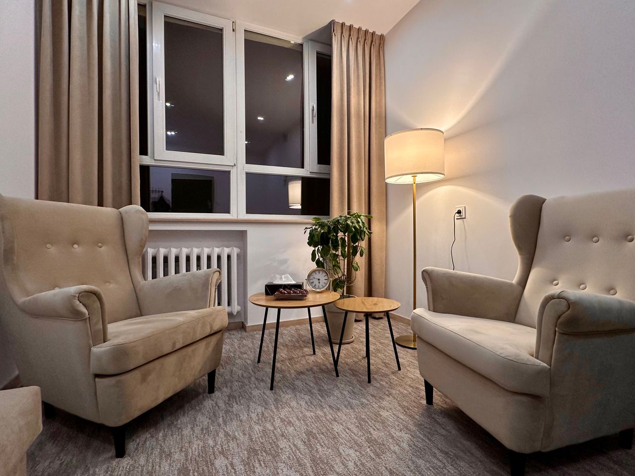 Małgorzata Dziemianowicz-1