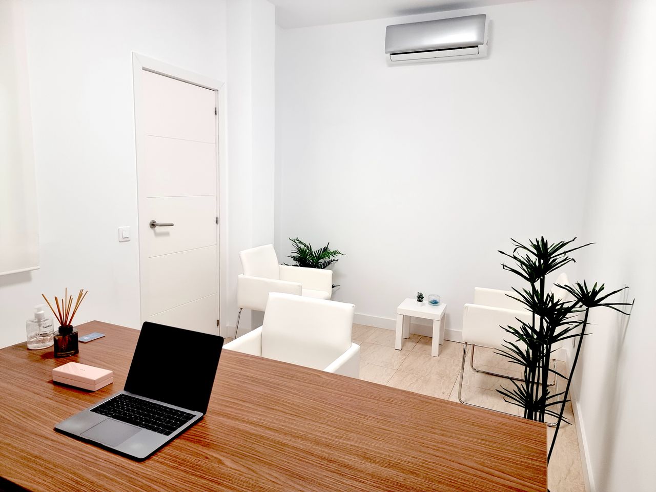 Gina Ciancaglini Zimmermann-3