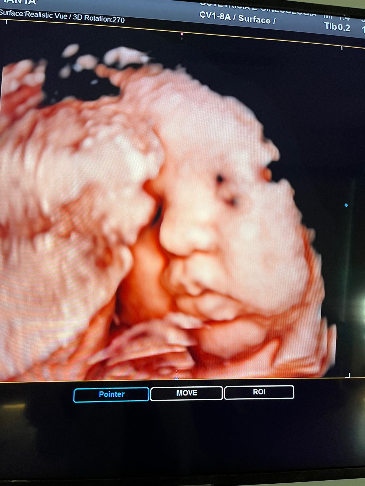 Cristian Macchione-5