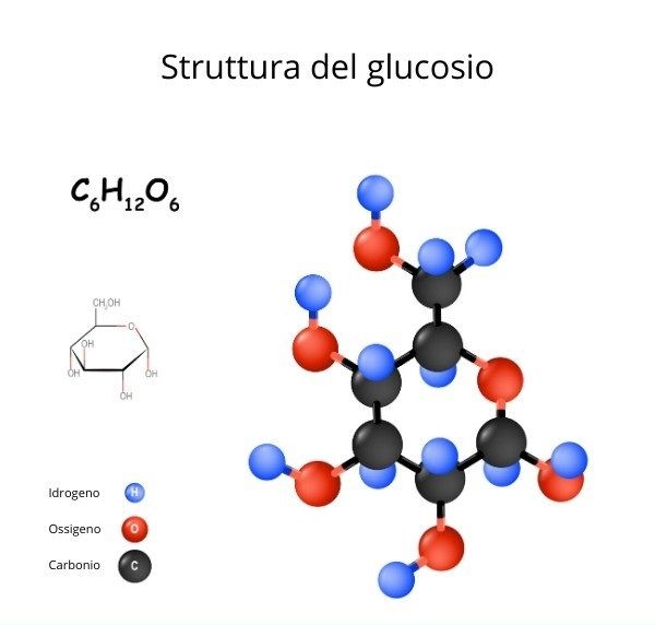 Giuliano Simone Di Silvestre-15