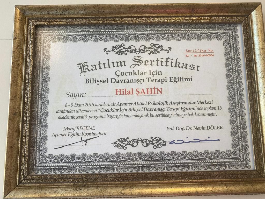 Hilal Şahin Midil-1