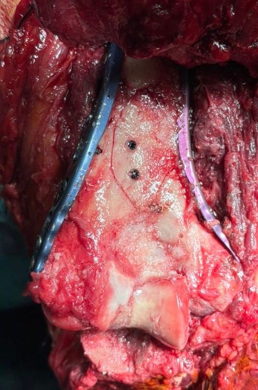 Manel Panadero Moncusi-9