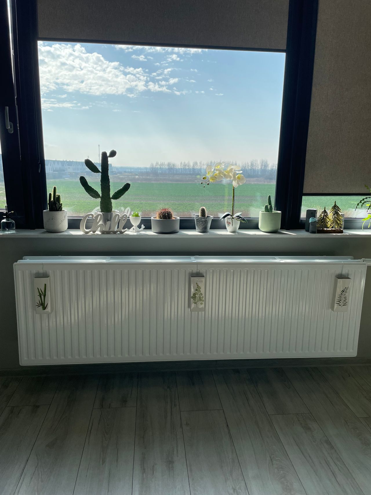 Justyna Lara-Czachurska-4