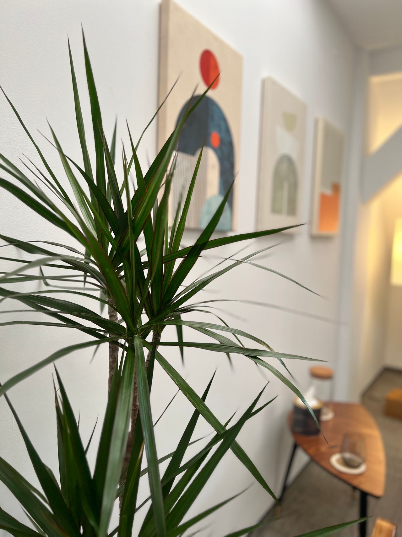 Rafał Grubman-Nowak-2