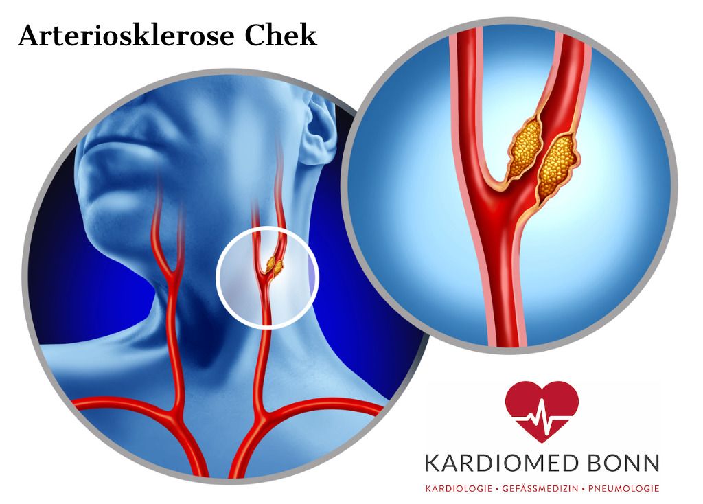 Karun Singh Khurana-11