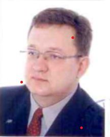 Marcin Ziobro-0