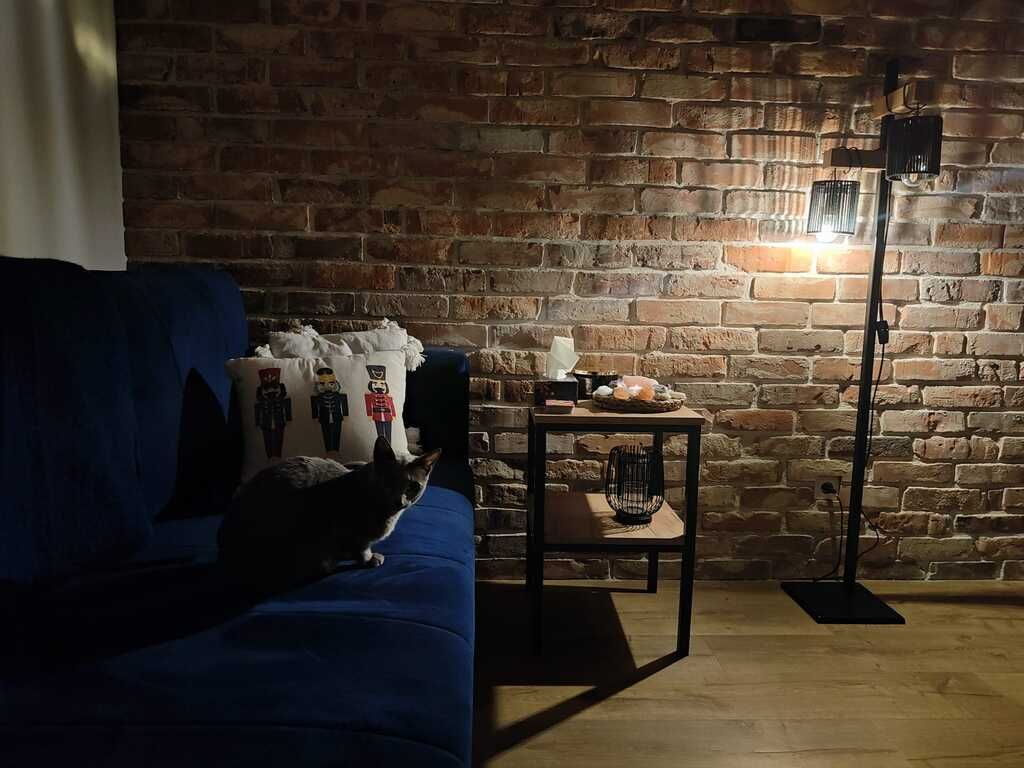 Weronika Stodulska-2