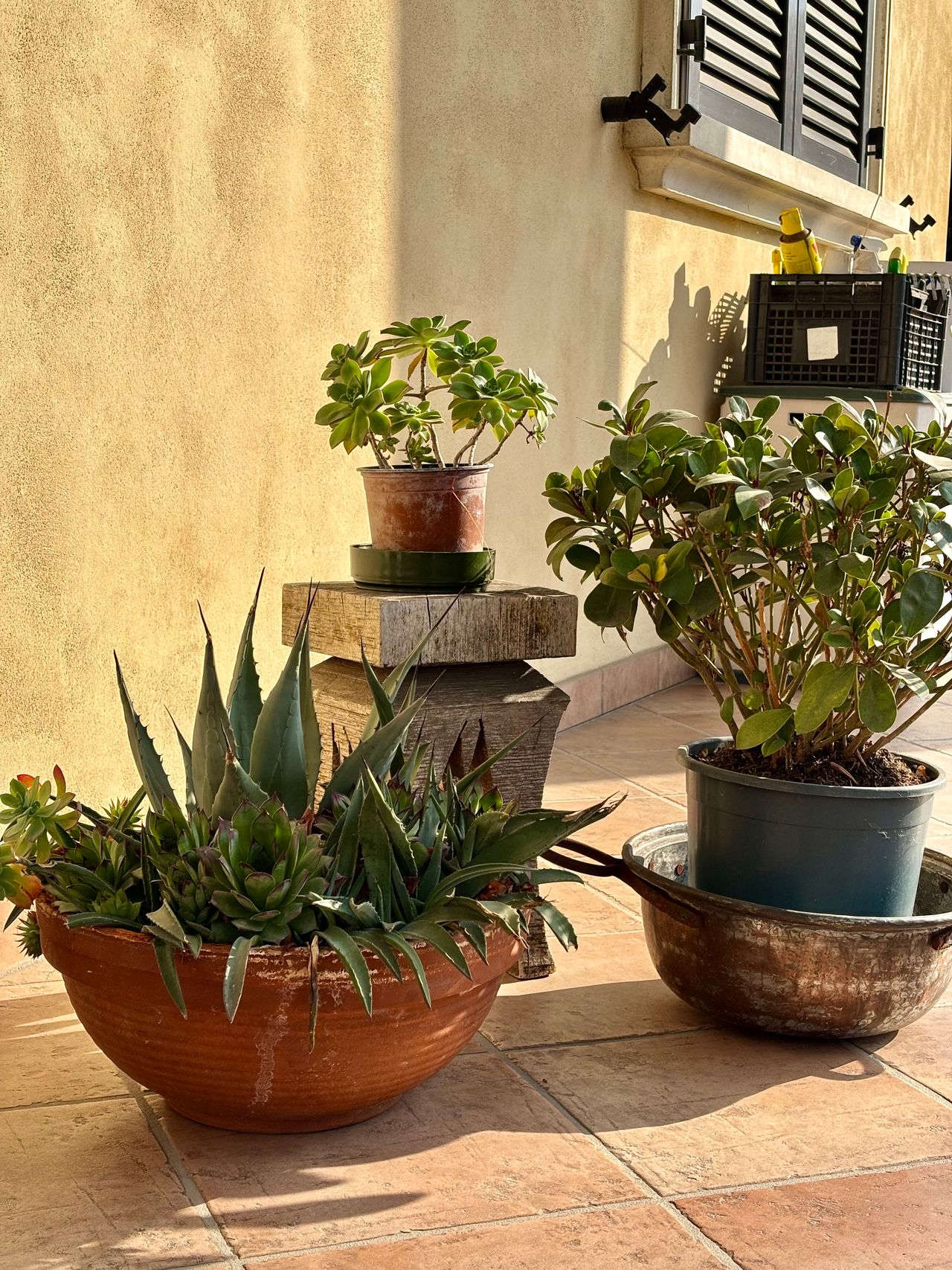 Claudia Fontanella-4