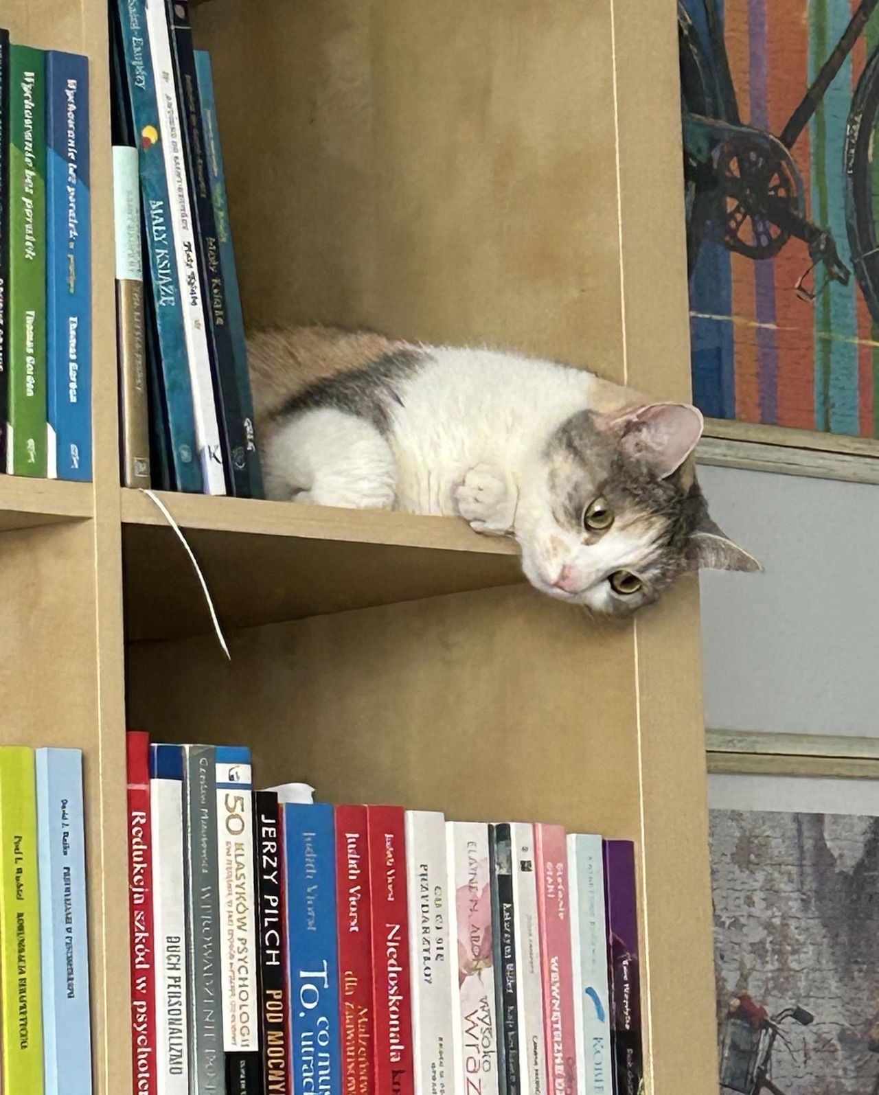 Adrianna Grabowska-0