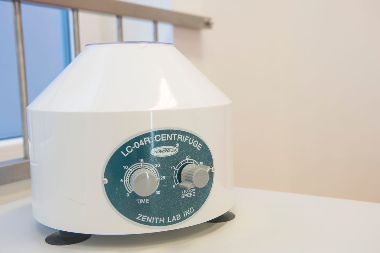 Bogumiła Jankowska-11