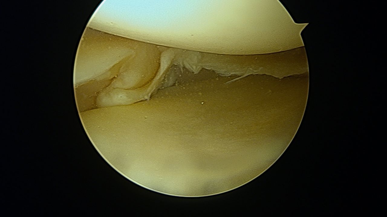 Eulogio Benito Martín-21