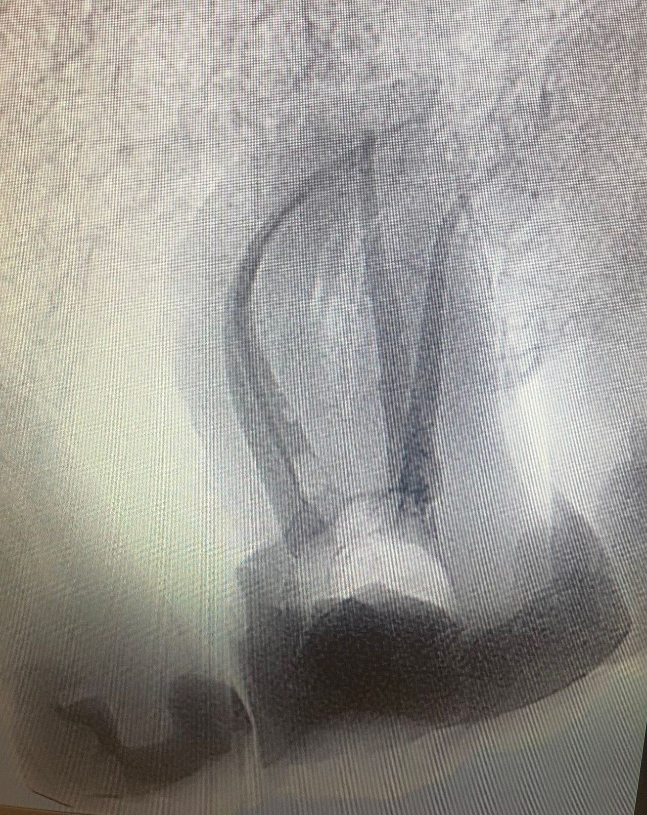 Dominika Witkowska-Pszczoła-11