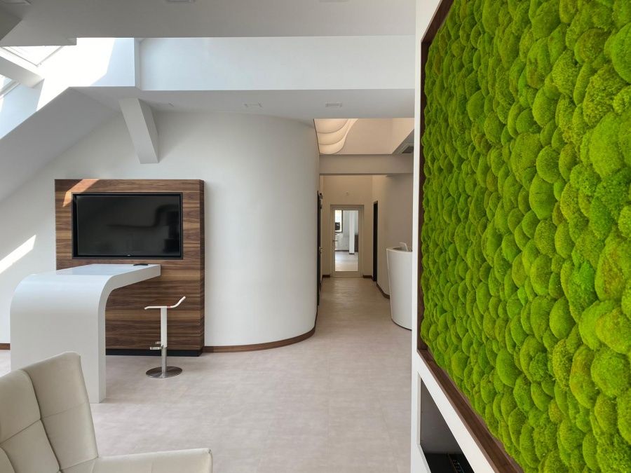 Kourosh Peterhansl-3