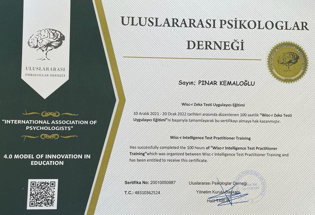 Pınar Kemaloğlu-26