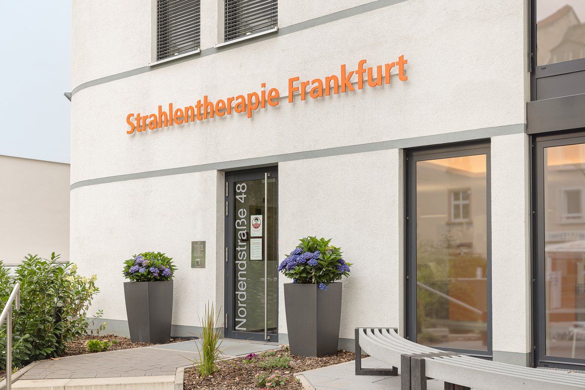 Maria Del Salobrar Cruz Paz-2